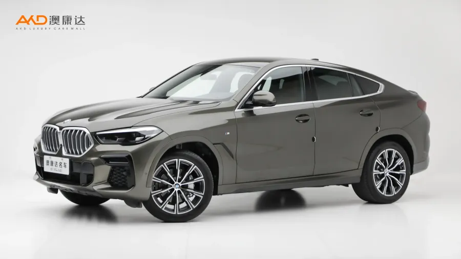 二手宝马X6 xDrive30i M运动套装图片
