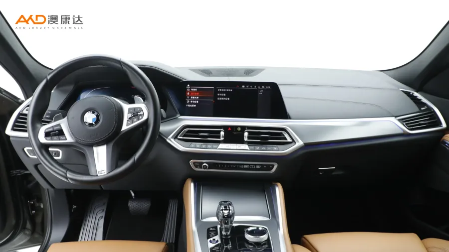 二手宝马X6 xDrive30i M运动套装图片3810596