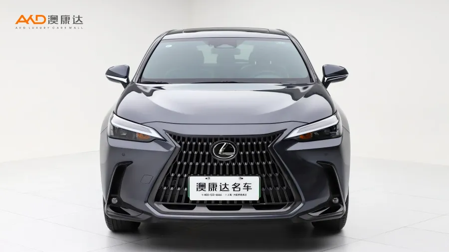 二手雷克萨斯 NX400h+ 畅悦版图片3811550