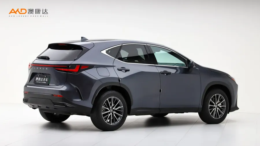 二手雷克萨斯 NX400h+ 畅悦版图片3811554