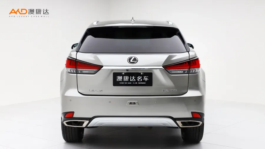 二手雷克萨斯RX300 改款 四驱典雅版图片3811608