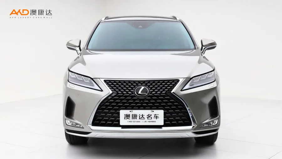 二手雷克萨斯RX300 改款 四驱典雅版图片3811602