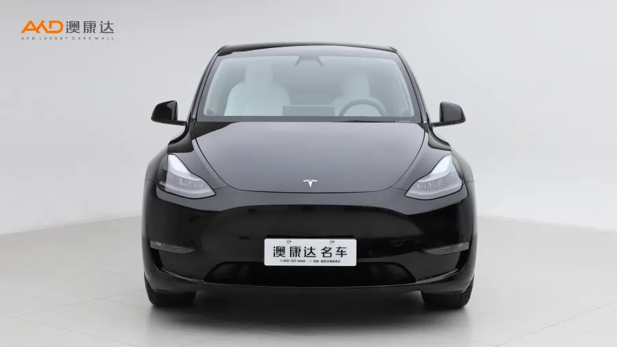 二手特斯拉Model Y 长续航全轮驱动版图片3813971