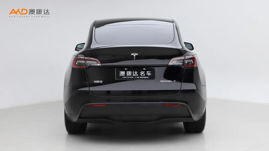 二手特斯拉Model Y 长续航全轮驱动版图片3813977