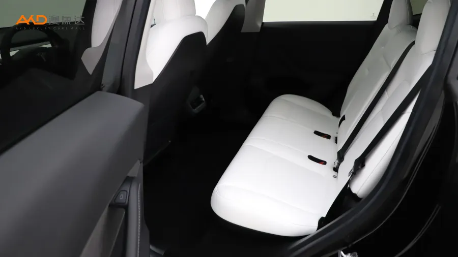 二手特斯拉Model Y 长续航全轮驱动版图片3813986