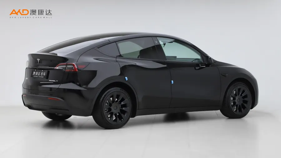 二手特斯拉Model Y 长续航全轮驱动版图片3813975