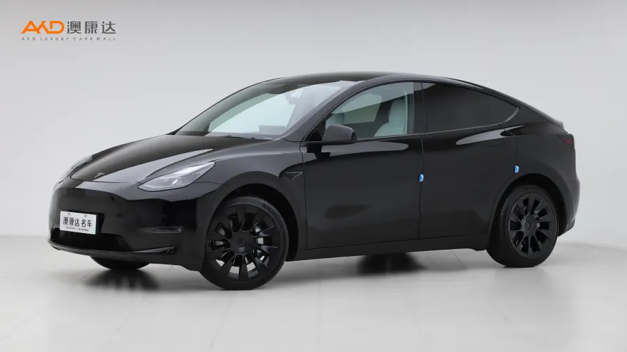 二手特斯拉Model Y 长续航全轮驱动版图片