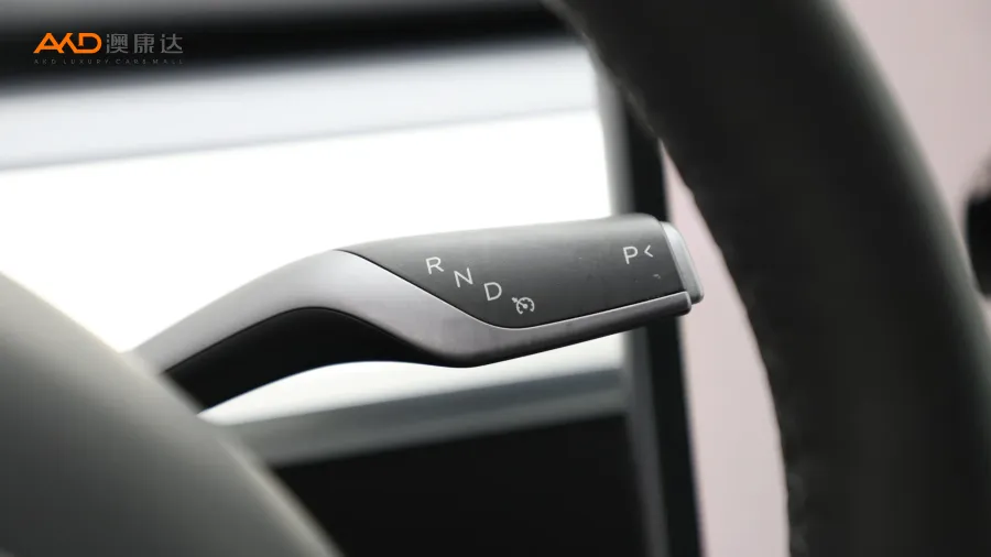 二手特斯拉Model Y 长续航全轮驱动版图片3813983