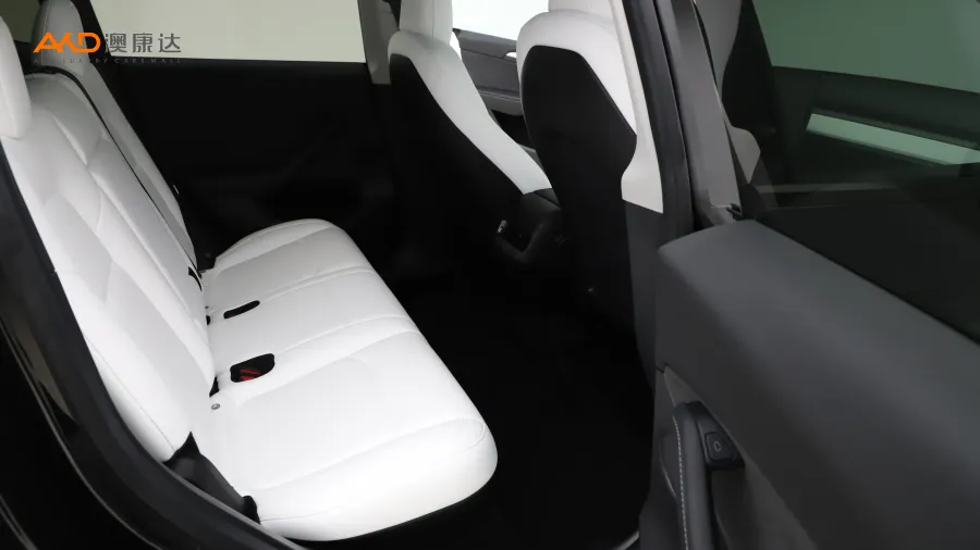 二手特斯拉Model Y 长续航全轮驱动版图片3813992