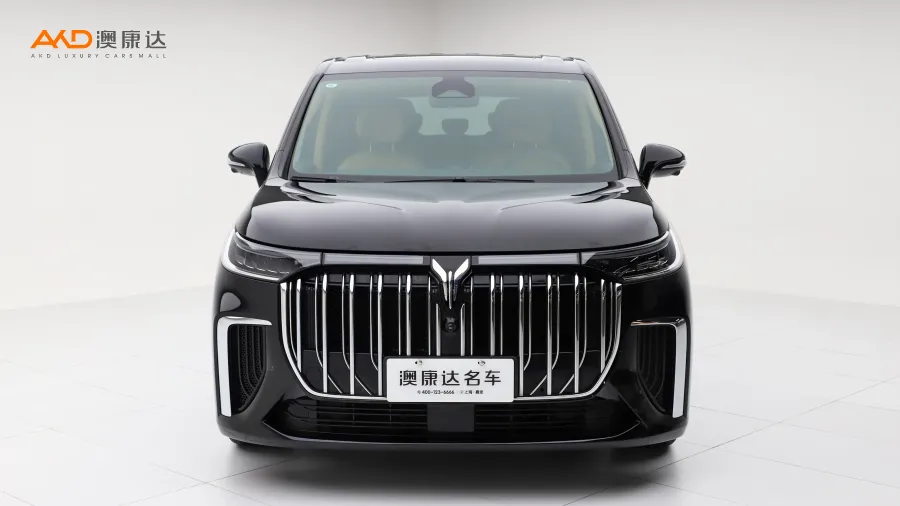 二手岚图梦想家 PHEV 超长续航尊贵版图片3818022
