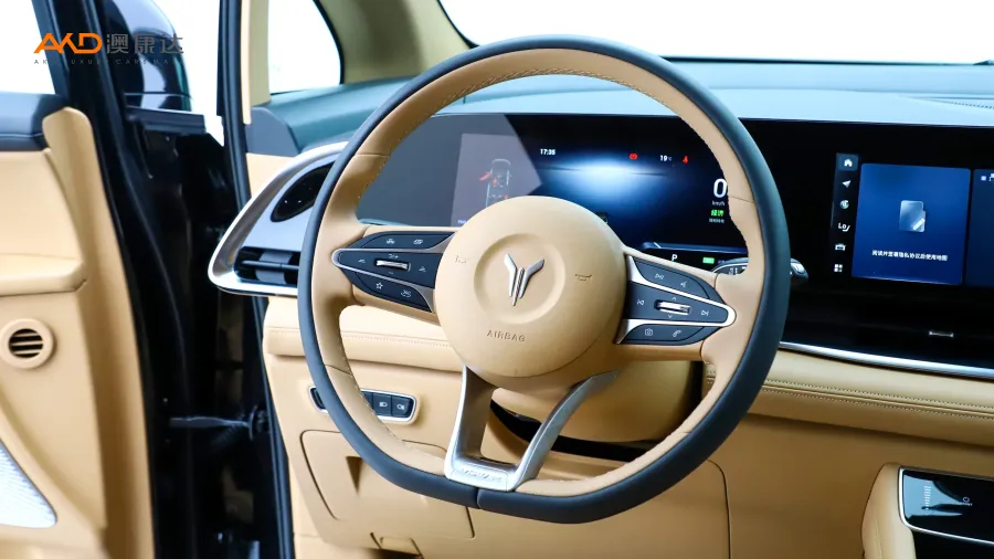 二手岚图梦想家 PHEV 超长续航尊贵版图片3818046
