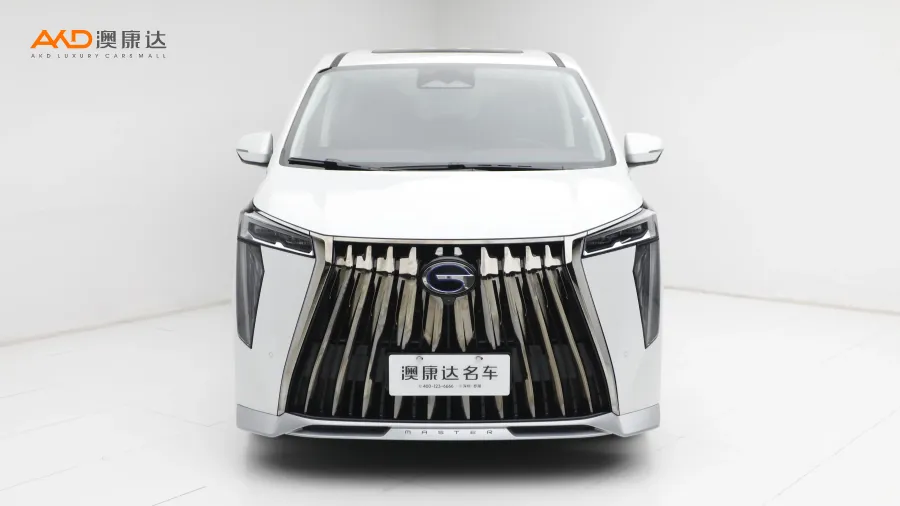 二手传祺 E9 宗师图片3817536