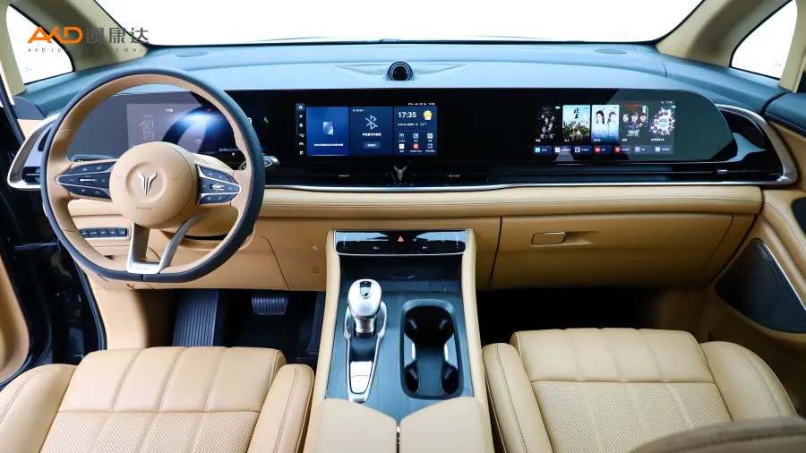 二手岚图梦想家 PHEV 超长续航尊贵版图片3818045