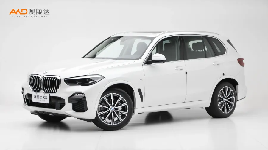 二手寶馬x5 xDrive30i M運(yùn)動(dòng)套裝圖片