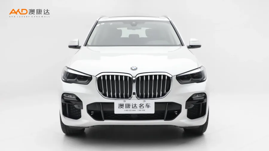 二手寶馬x5 xDrive30i M運(yùn)動(dòng)套裝圖片3818541