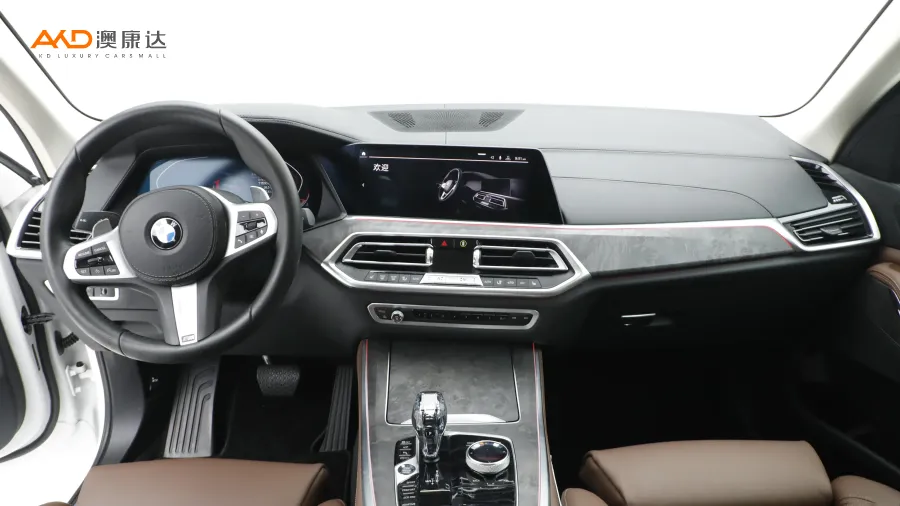 二手寶馬x5 xDrive30i M運(yùn)動(dòng)套裝圖片3818558
