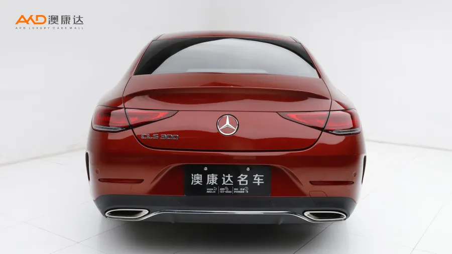 二手奔驰CLS300  豪华型图片3822378