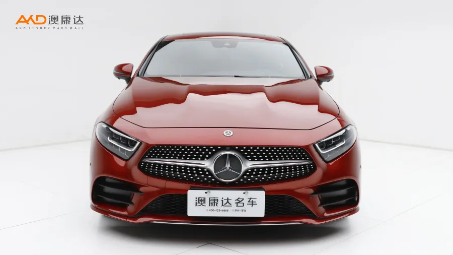 二手奔驰CLS300  豪华型图片3822370