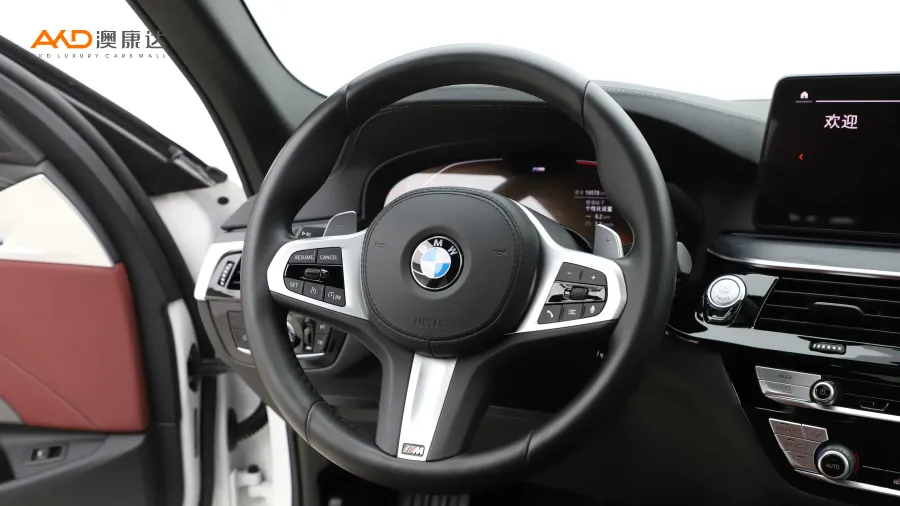 二手宝马530Li 领先型 M运动套装图片3823504