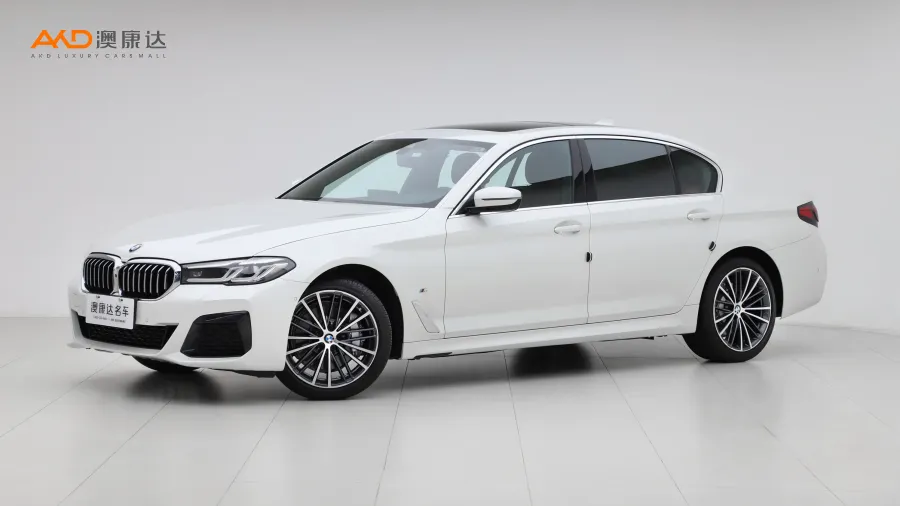 二手宝马530Li 领先型 M运动套装图片