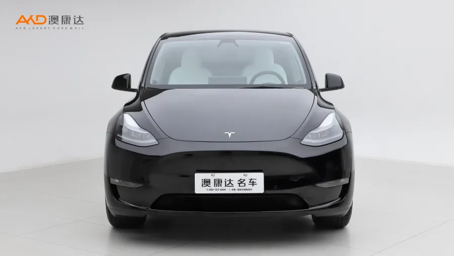 二手特斯拉Model Y 改款 長(zhǎng)續(xù)航全輪驅(qū)動(dòng)版圖片3825638