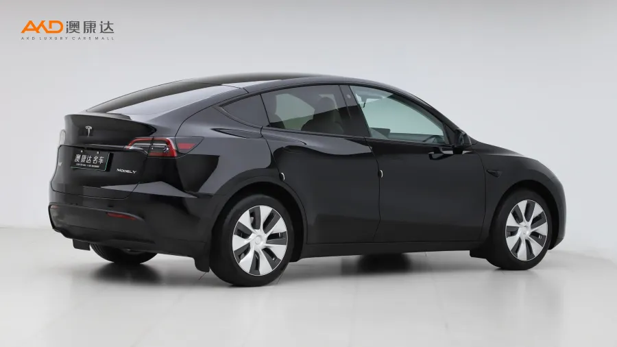 二手特斯拉Model Y 改款 長(zhǎng)續(xù)航全輪驅(qū)動(dòng)版圖片3825642