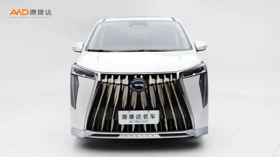 二手传祺 E9 宗师图片3828901