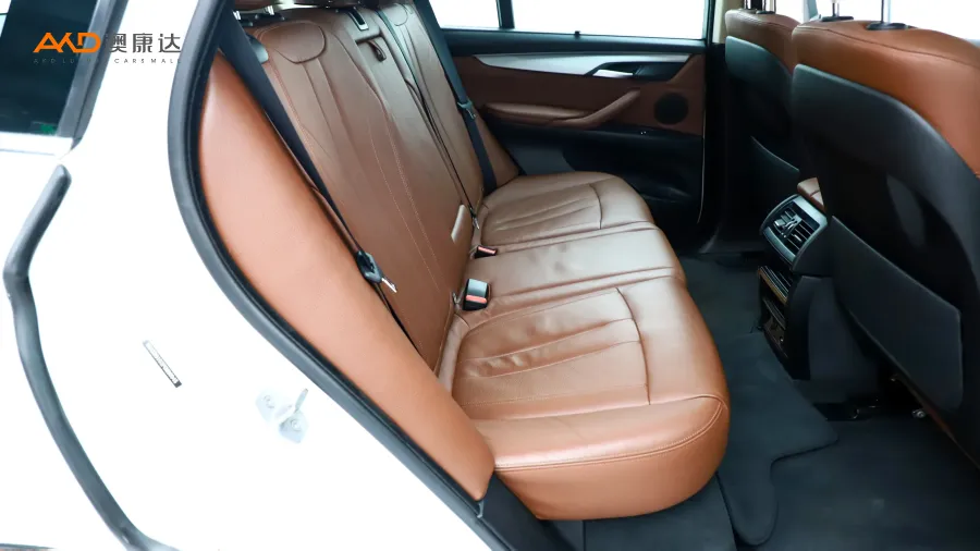 二手宝马X5 xDrive35i 中东型图片3828648