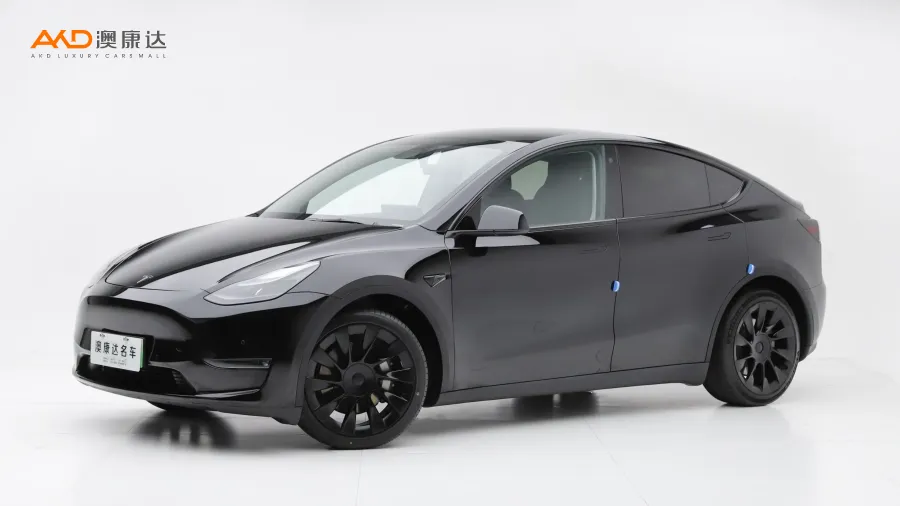 二手特斯拉Model Y 标准续航后驱版图片