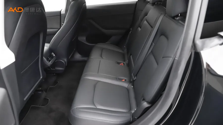 二手特斯拉Model Y 标准续航后驱版图片3829847
