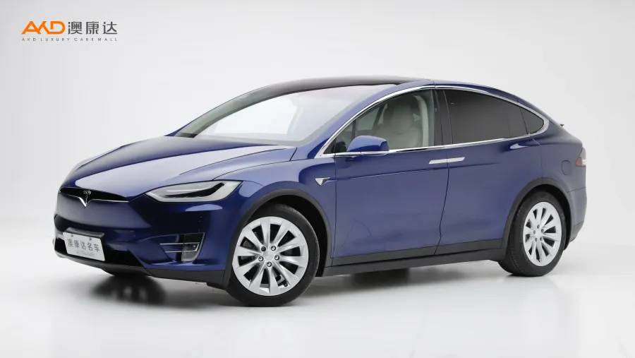 二手特斯拉Model X 100D 长续航版图片