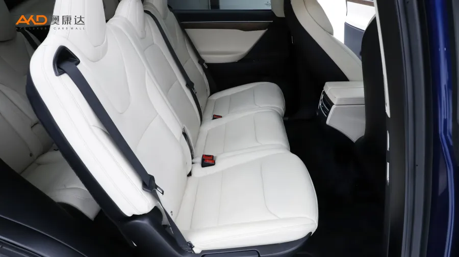 二手特斯拉Model X 100D 长续航版图片3830650