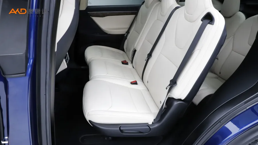 二手特斯拉Model X 100D 长续航版图片3830642