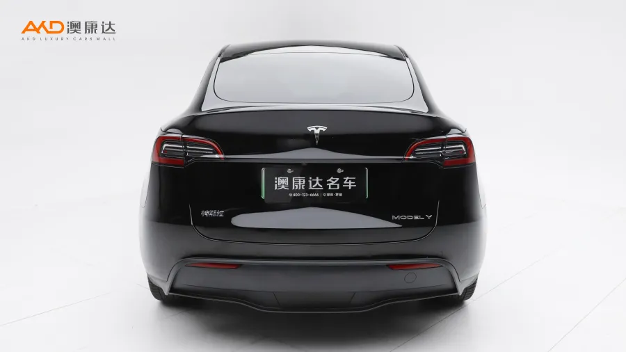 二手特斯拉Model Y 标准续航后驱版图片3829838