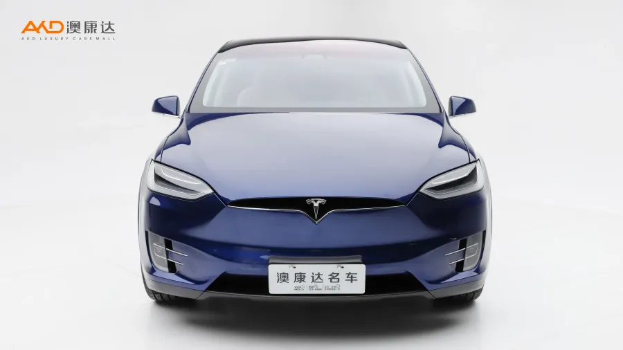 二手特斯拉Model X 100D 长续航版图片3830628