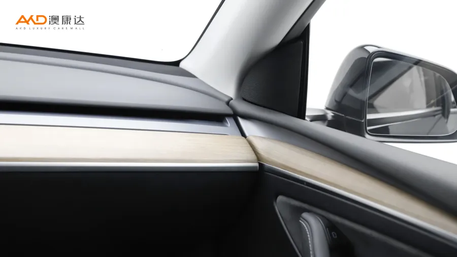 二手特斯拉Model Y 标准续航后驱版图片3829856