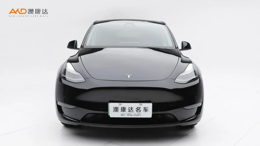 二手特斯拉Model Y 标准续航后驱版图片3829832