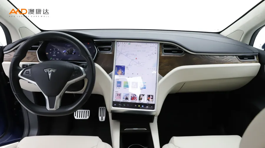 二手特斯拉Model X 100D 长续航版图片3830645