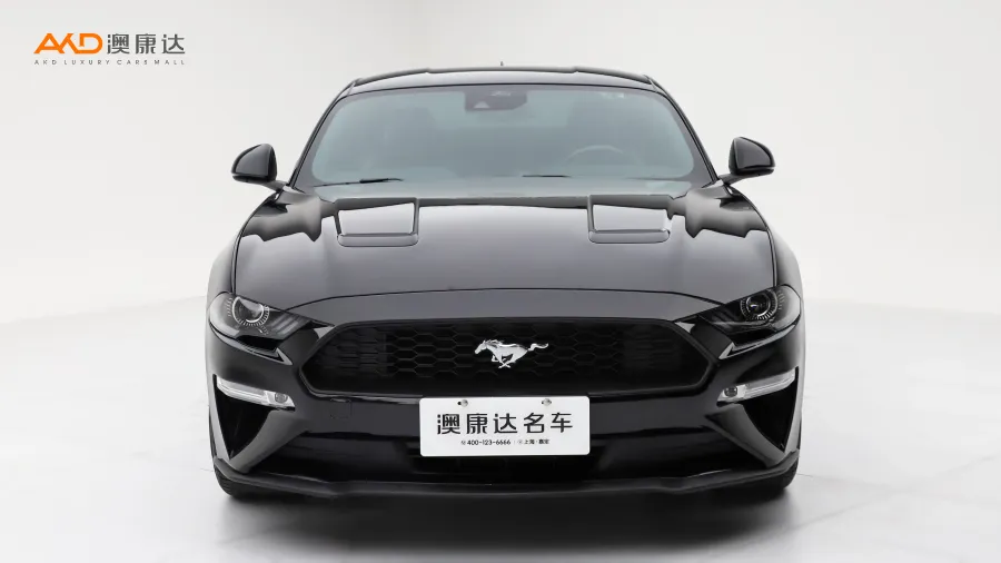 二手野馬  EcoBoost圖片3831326