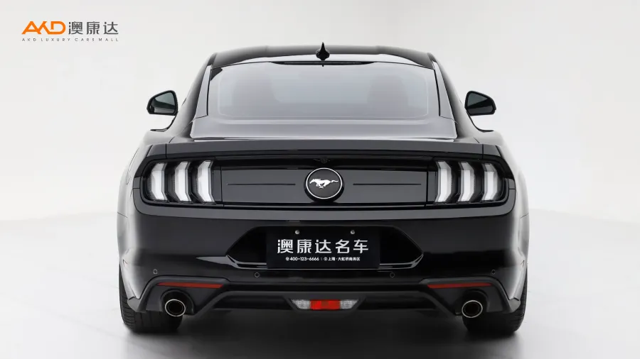 二手野馬  EcoBoost圖片3831332
