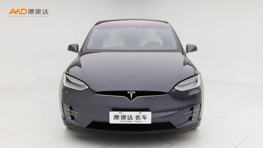 二手特斯拉Model X Performance高性能版图片3832177