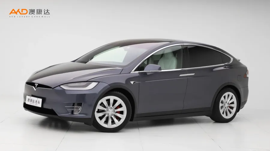 二手特斯拉Model X Performance高性能版图片