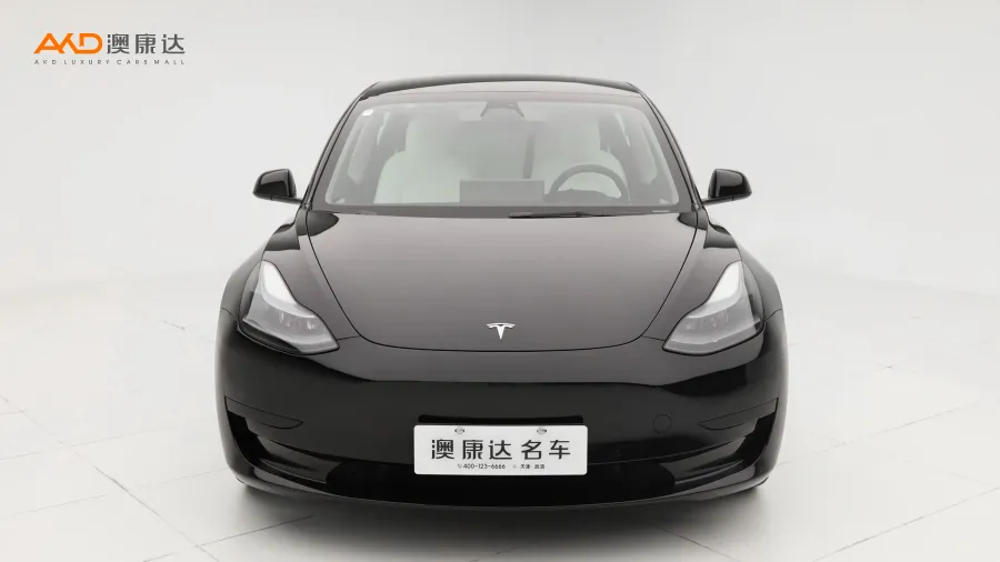 二手特斯拉Model 3 后轮驱动版图片3833195