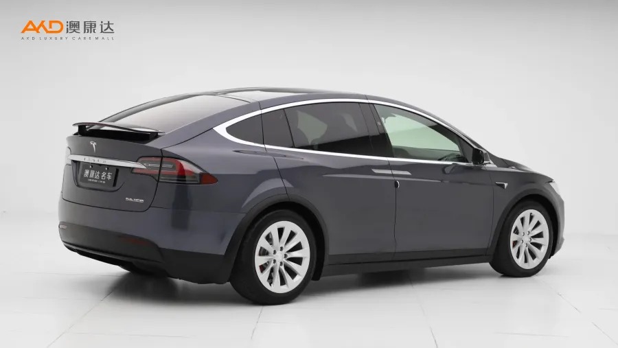 二手特斯拉Model X Performance高性能版图片3832181