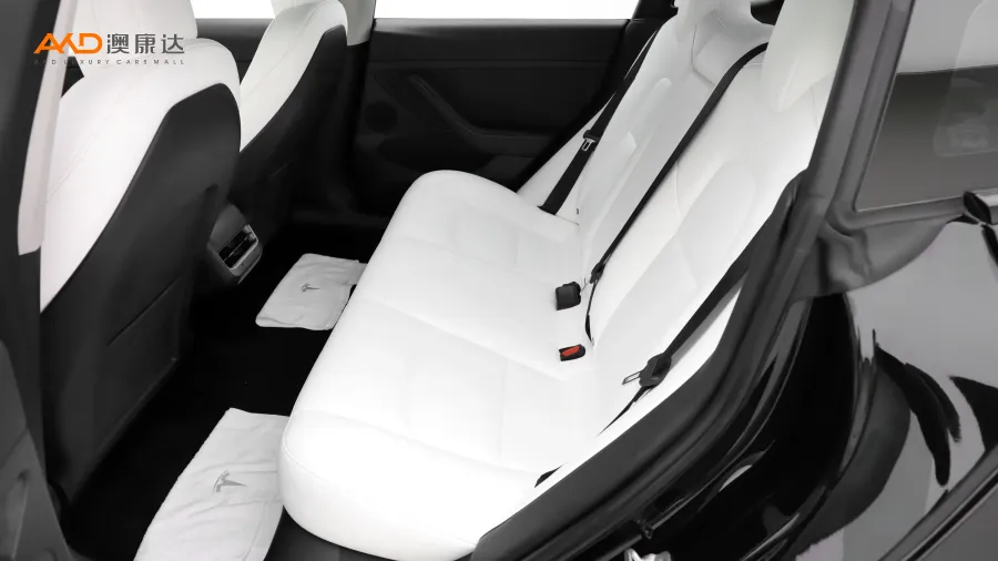 二手特斯拉Model 3 后轮驱动版图片3833209