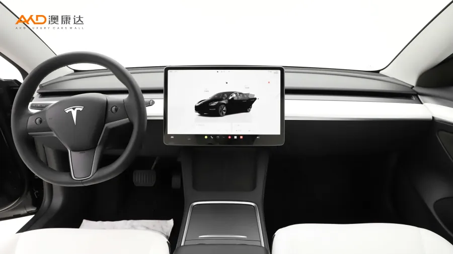 二手特斯拉Model 3 后轮驱动版图片3833211