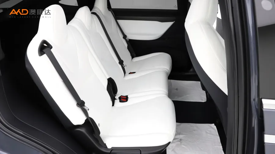 二手特斯拉Model X Performance高性能版图片3832197