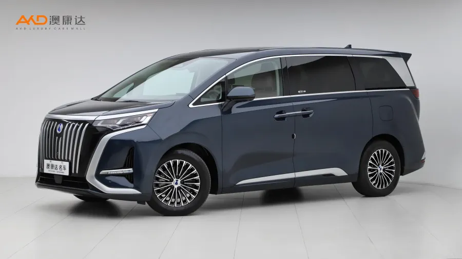 二手騰勢D9 EV 600 四驅旗艦型圖片