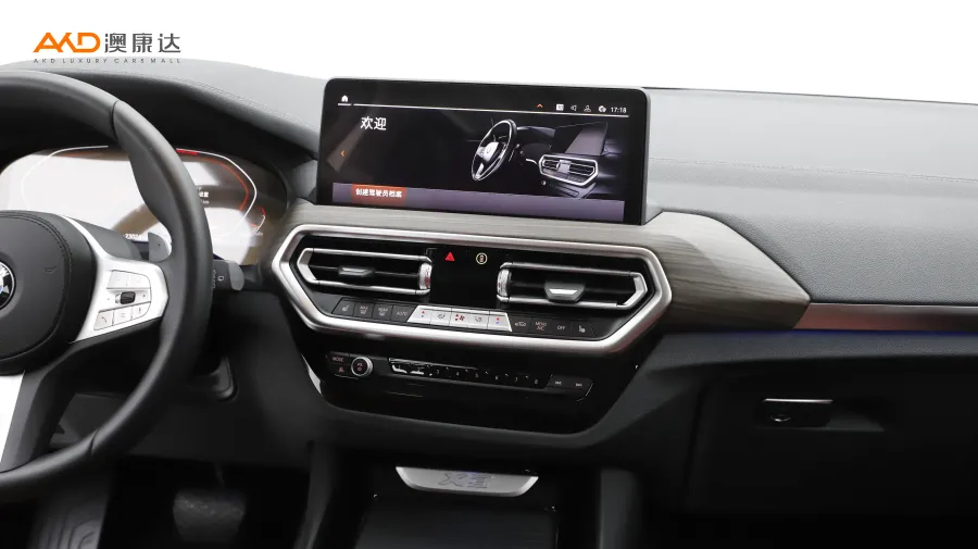 二手宝马 X3 改款 xDrive30i 领先型 M曜夜套装图片3838727