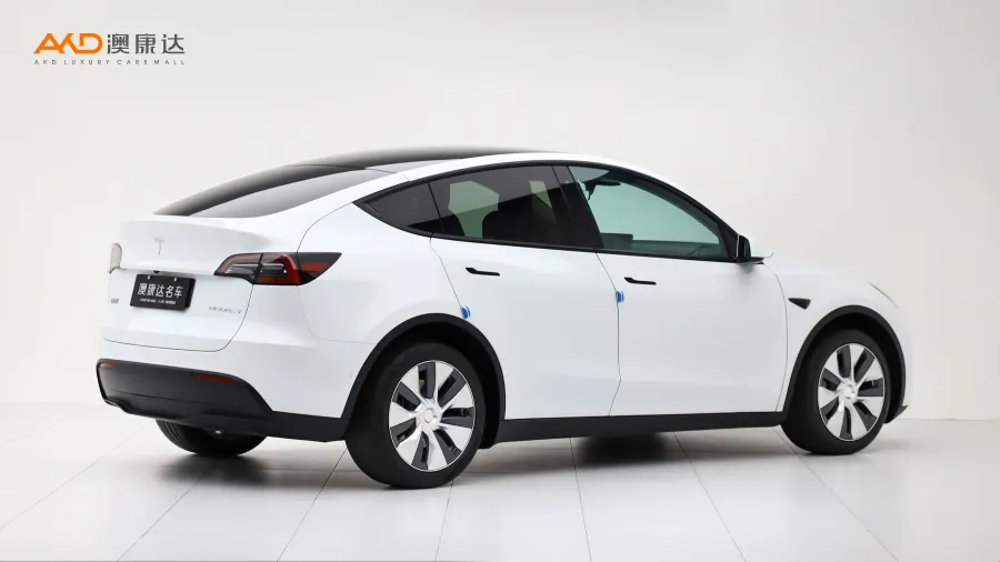 二手特斯拉Model Y 长续航全轮驱动版图片3839565